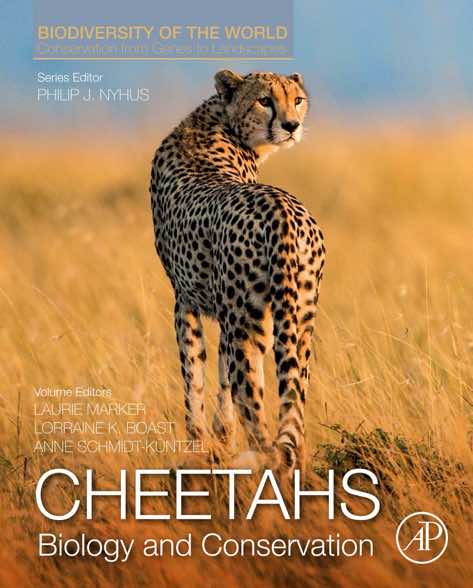 cheetah biologie