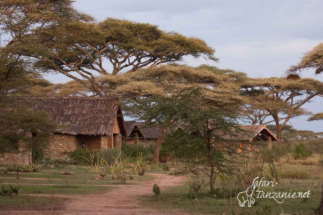 ndutu lodge 1547