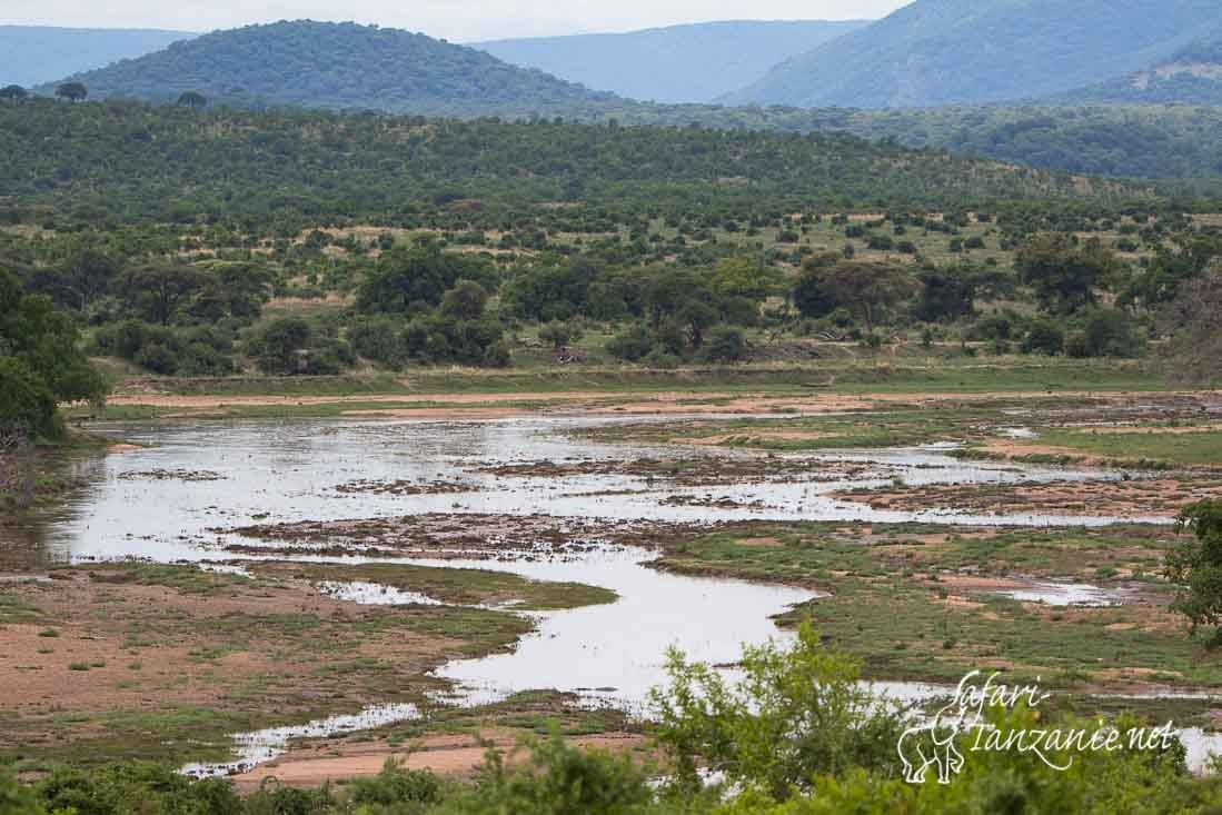 ruaha river 6241