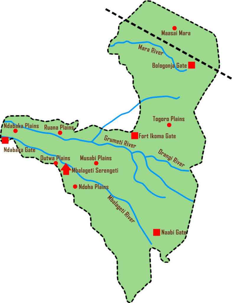 serengeti river carte