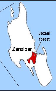 Jozani Forest Unguja