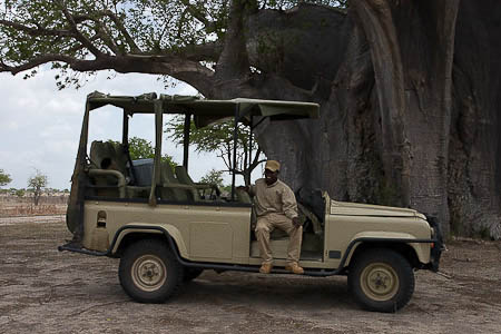 safari voiture 4501