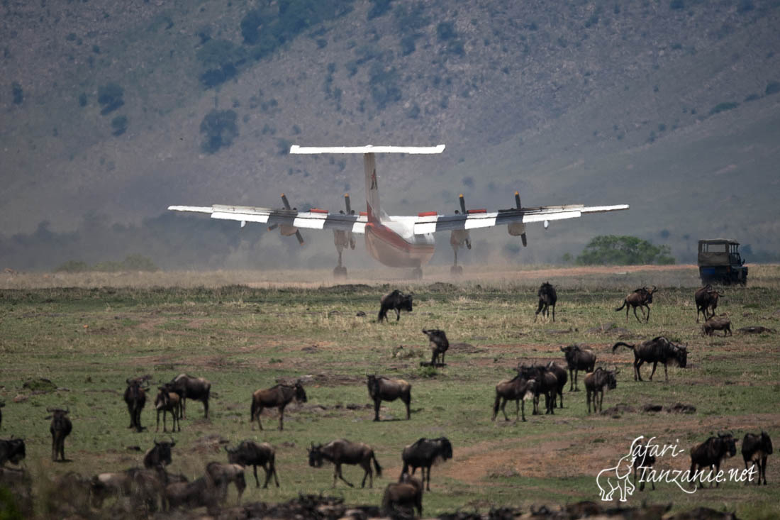 Masai Mara atterrissage 
